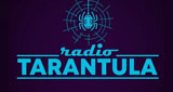 Logo Radio Tarantula
