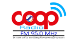 Logo Coop Radio Long 95