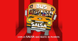 Logo Bus Salsa