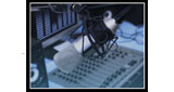 Logo Radio Soberania 91.5 FM - ¡ Tu Voz Comunitaria !