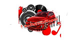 Logo radiovolkswagen
