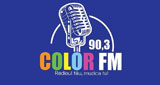 Logo Radio Color