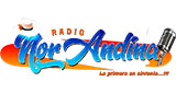 Logo Radio Nor Andina