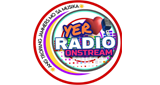 Logo Yer Radio Onstream