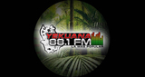 Logo Yekuana 88.1 Fm