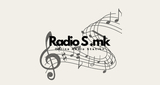 Logo Radio S .mk