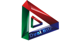 Logo Dual Hits