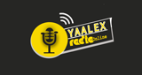 Logo Yaalex Radio