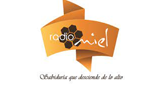 Logo Radio Miel