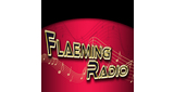Logo Flaemingradio