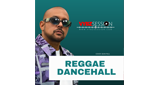 Logo VYBZ SESSION REGGAE DANCEHAll