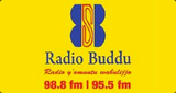 Logo Radio Buddu 98.8FM and 95.5FM