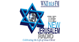 Logo WNJI 95.9 FM