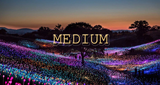 Logo MEDIUM FM Radio