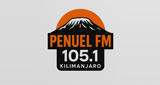 Logo PenuelFM