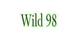 Logo Wild 98
