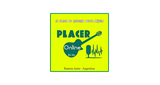 Logo Placer Online
