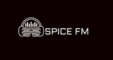 Logo SPICE FM
