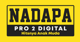 Logo NADAPA DIGITAL PRO2