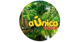 Logo La Unica Tropical