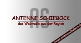 Logo Antenne Schiebock