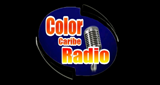Logo Color Caribe Radio Online-Salsa Pura Stereo