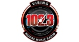 Logo Vibing 102.3 MMR