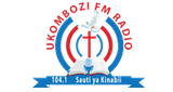 Logo Sauti Ya Kinabi