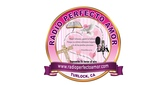 Logo Radio Perfecto Amor