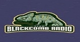 Logo Blackcomb Radio