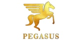Logo Pegasus Radio - Denmark