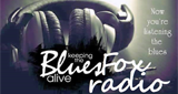 Logo BluesRock Fox radio