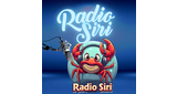 Logo Rádio Siri