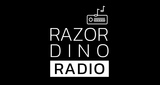 Logo Razordino Radio