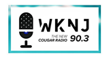 Logo WKNJ 90.3 FM