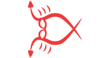 Logo Mutual Radio