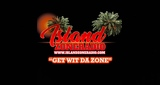 Logo Island Zone Radio