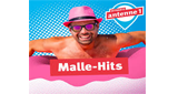 Logo Hitradio antenne 1 Malle Hits