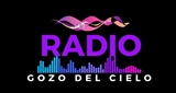 Logo Radio Gozo Del Cielo