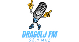 Logo Radio Dragulj