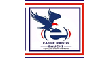 Logo Eagle Radio Bauchi