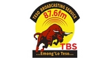Logo TBS FM The Bull
