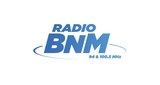 Logo Radio BNM Rock
