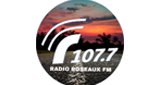 Logo Radio Roseaux FM 107.7
