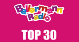 Logo Ballermann Radio - Top30