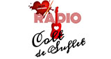 Logo Radio Colt De Suflet