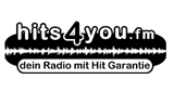 Logo Hits4you