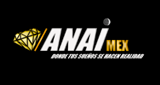 Logo Anai Mx - Internacional