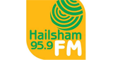 Logo Hailsham FM