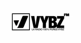 Logo Vybz FM